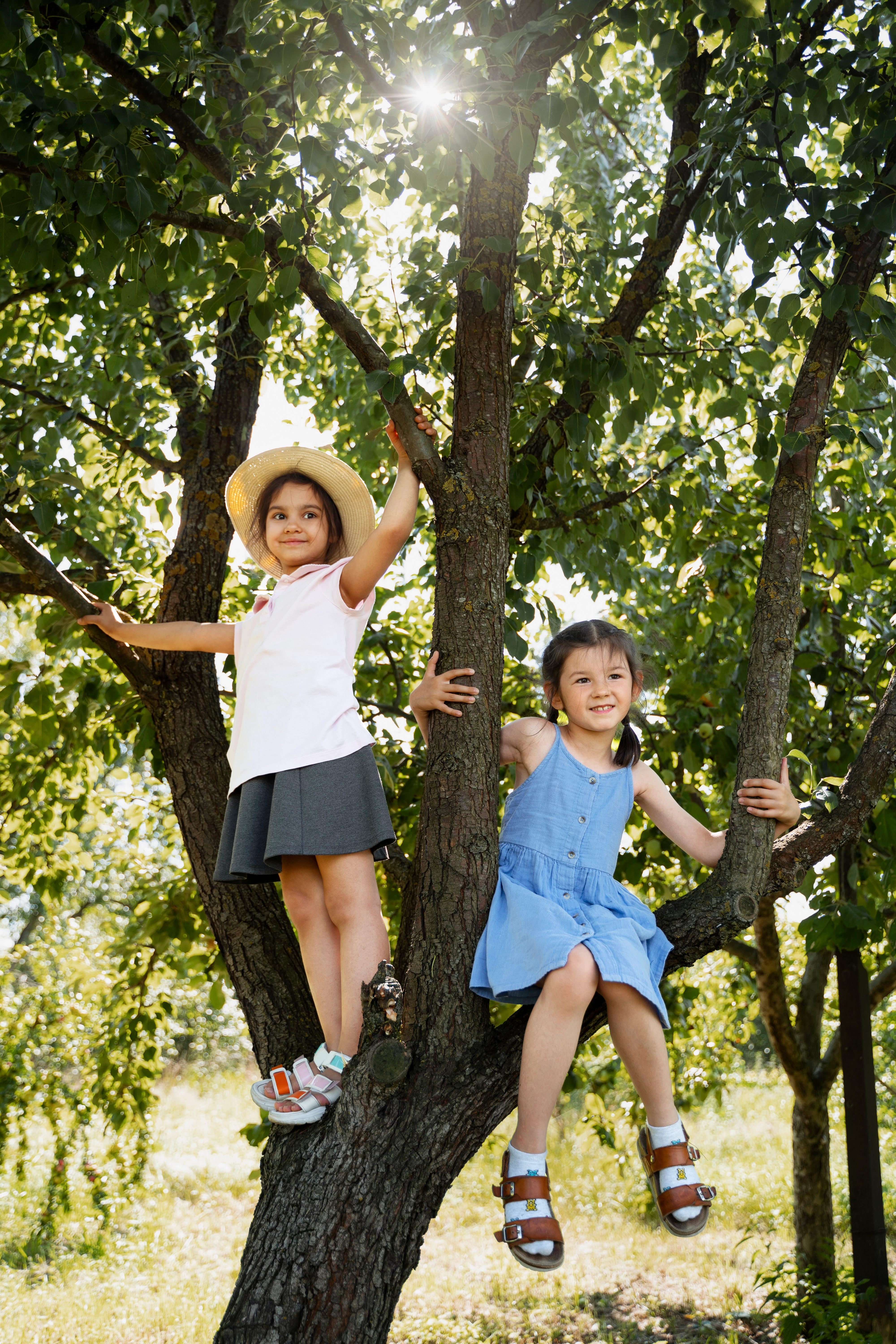 Children exploring and climbing trees at Obi